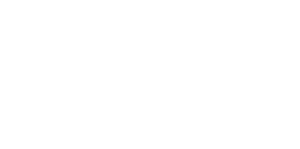 coinsa logo blanco