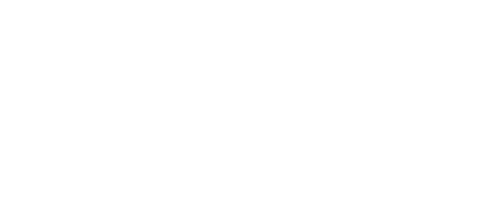 ypfdualblancook